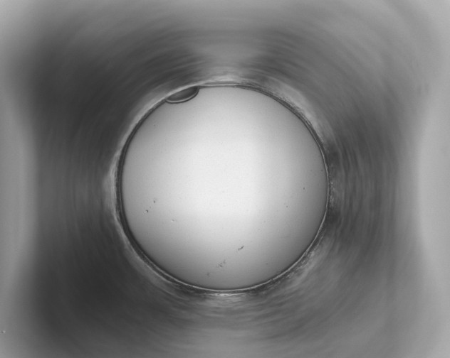 X0000101391483200807211003