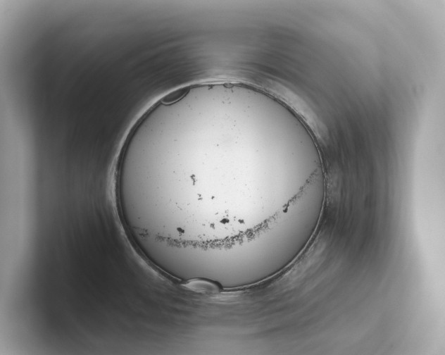 X0000101391484200807211003