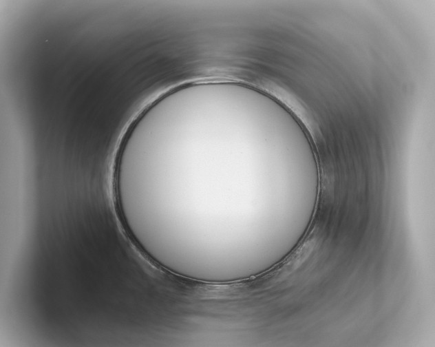 X0000101391485200807211003