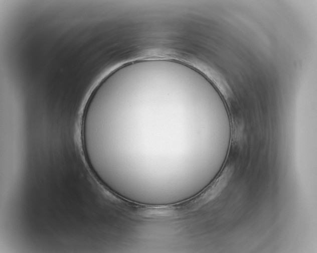 X0000101391486200807211003