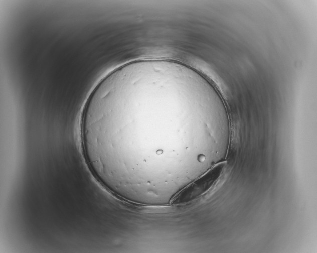 X0000101391487200807211003