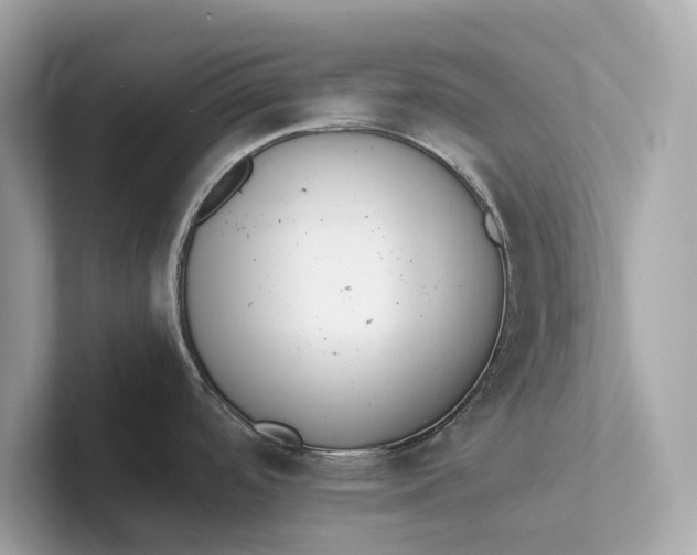 X0000101391488200807211003