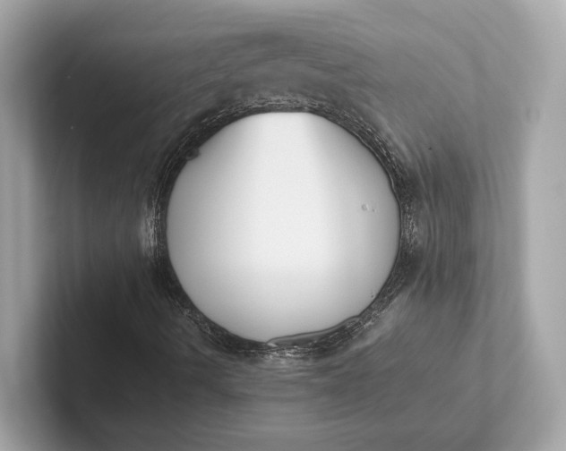 X0000101391490200807211002