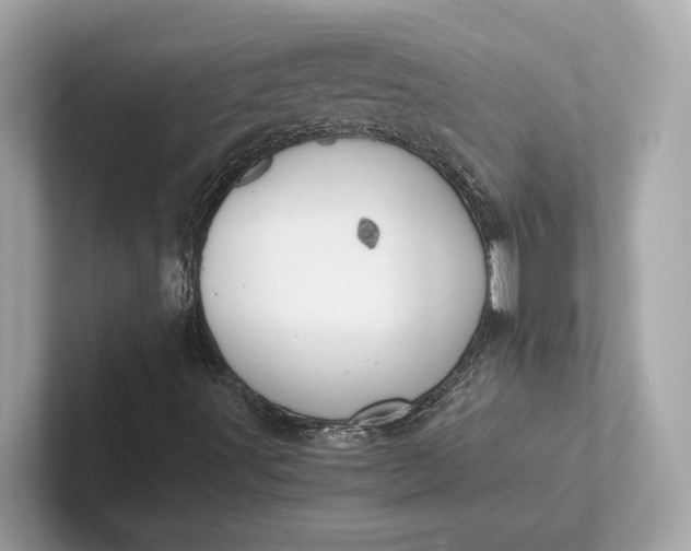 X0000101391491200807211002