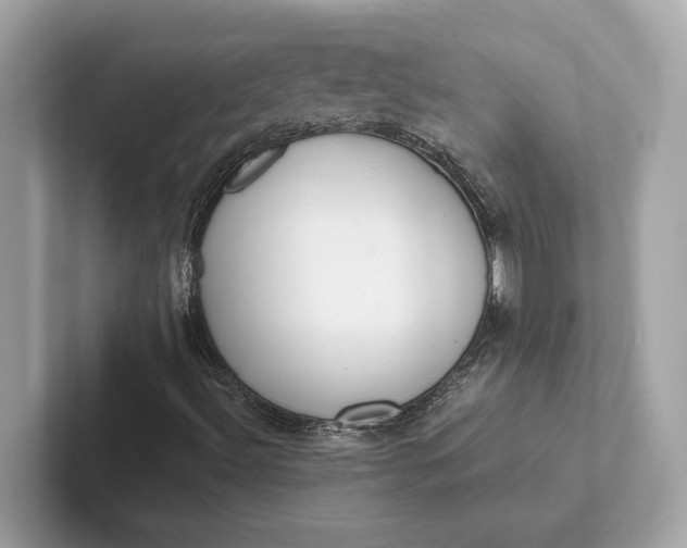 X0000101391492200807211002