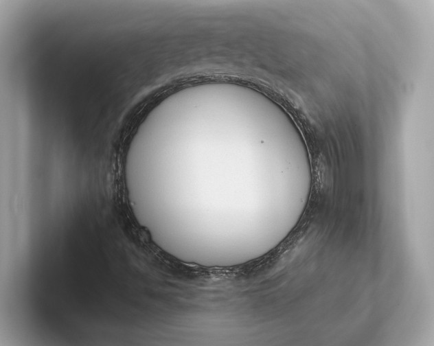 X0000101391494200807211002