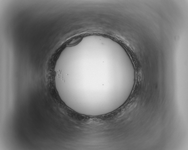 X0000101391496200807211002