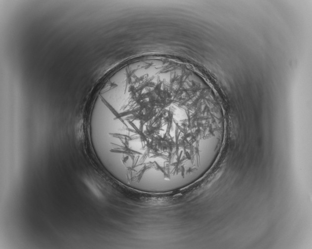 X0000101391497200807211002