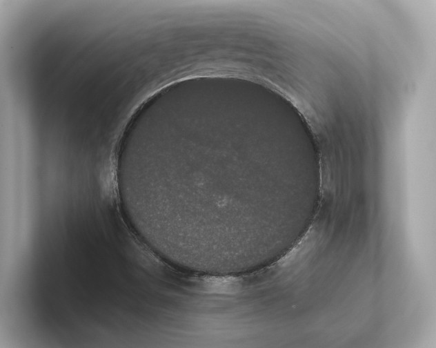 X0000101391498200807211002