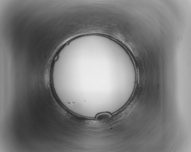 X0000101391500200807211002