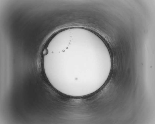 X0000101391502200807211002