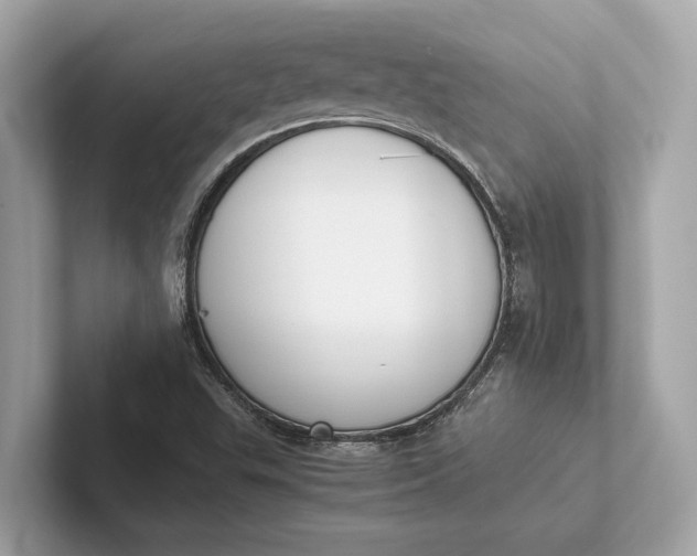 X0000101391503200807211002