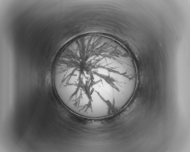 X0000101391505200807211002