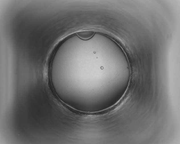 X0000101391506200807211002