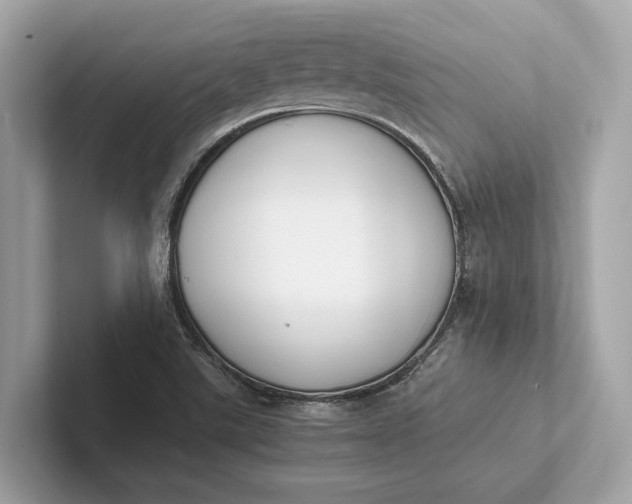 X0000101391507200807211002