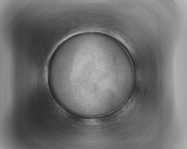 X0000101391508200807211002