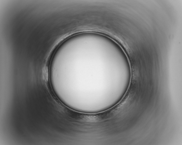 X0000101391509200807211002