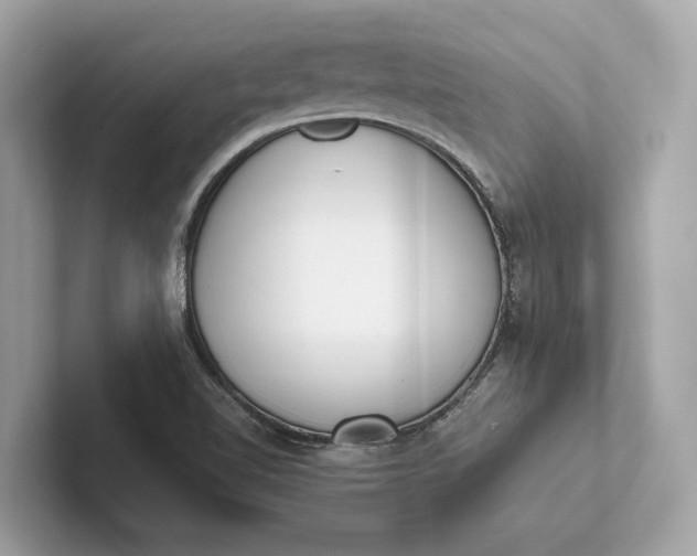 X0000101391510200807211002