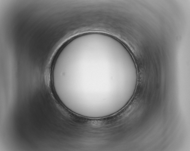 X0000101391511200807211002