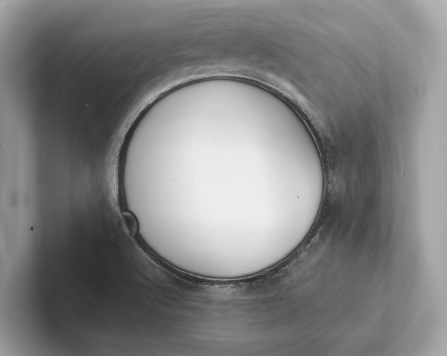 X0000101391512200807211002