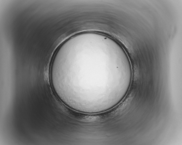 X0000101391513200807211002