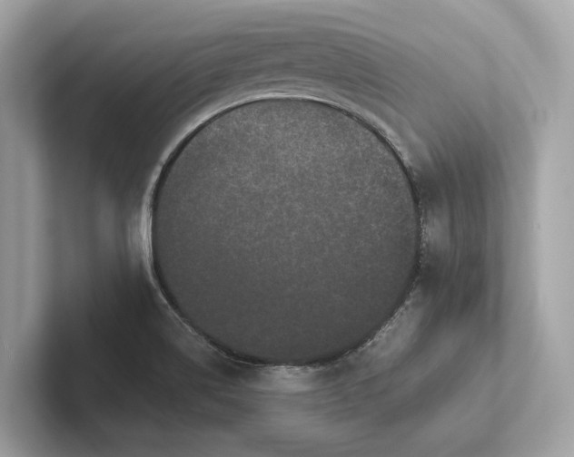 X0000101391514200807211002