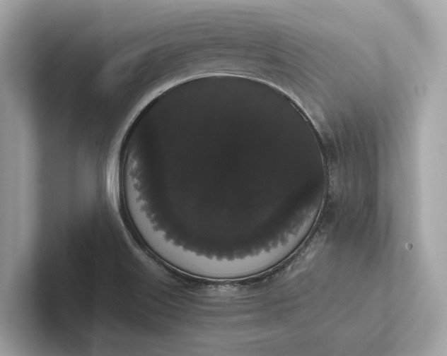 X0000101391515200807211002