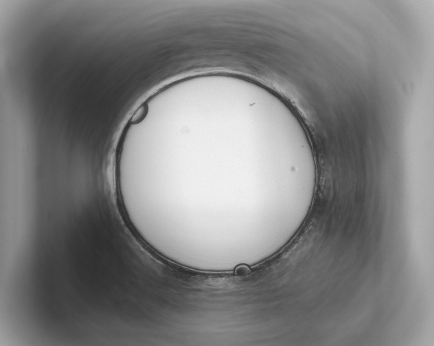 X0000101391516200807211002