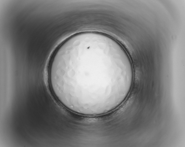 X0000101391517200807211002