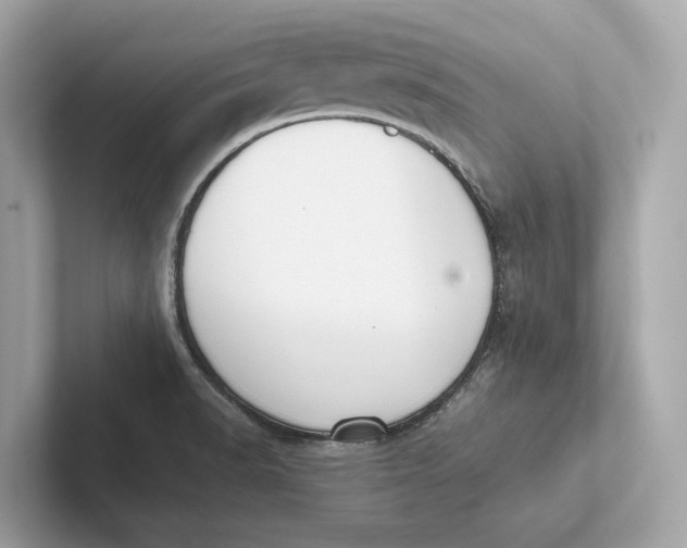 X0000101391518200807211002