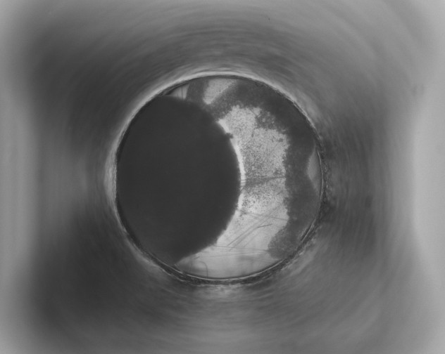 X0000101391519200807211002