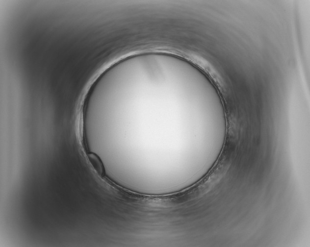 X0000101391520200807211002