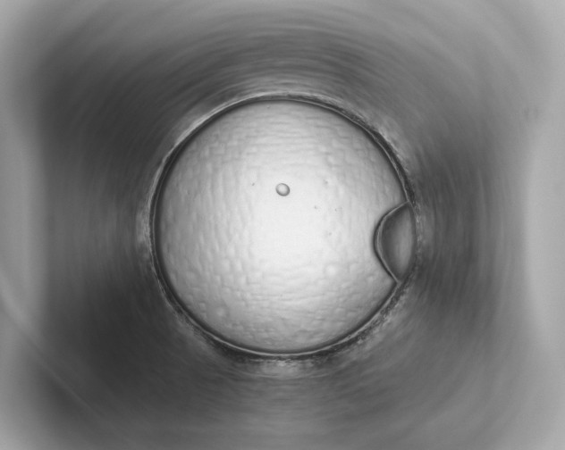 X0000101391521200807211002