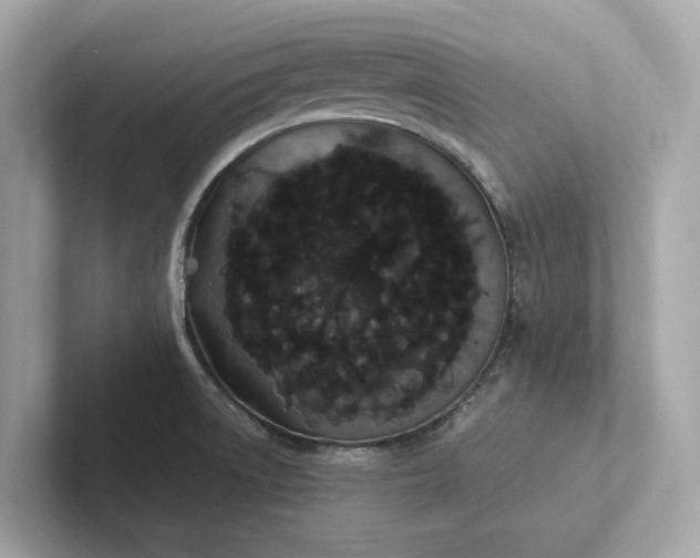 X0000101391522200807211002