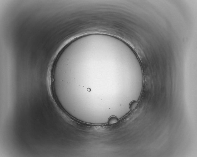 X0000101391523200807211002