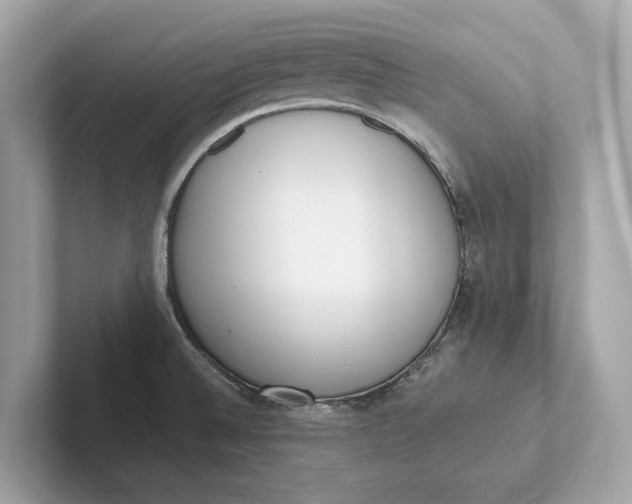 X0000101391524200807211002