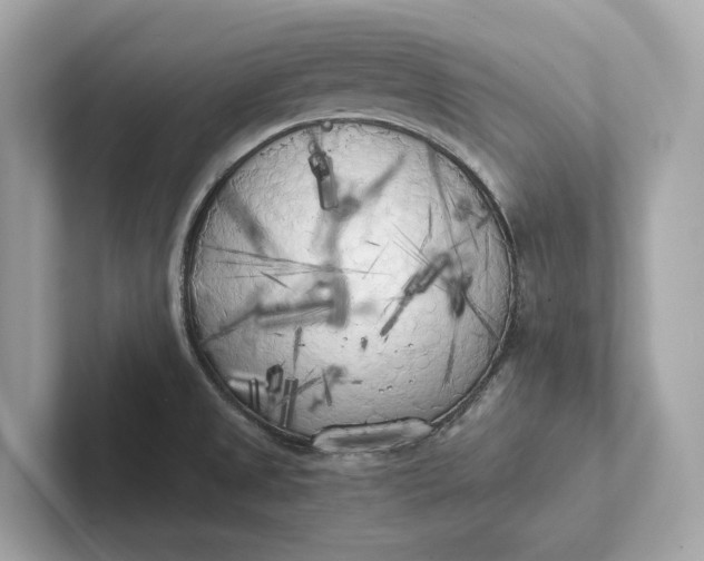 X0000101391525200807211002