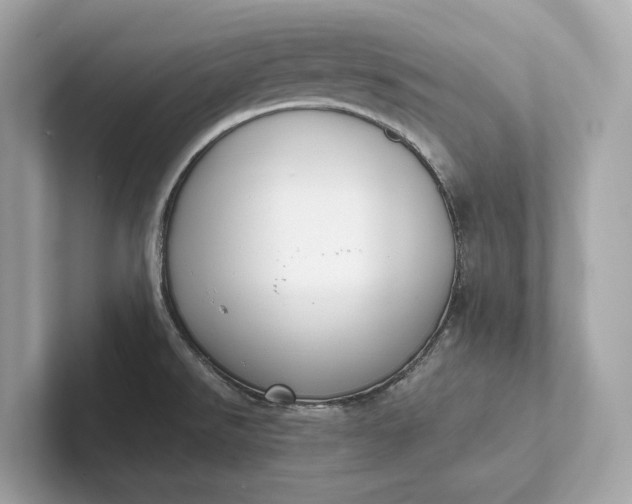 X0000101391526200807211002