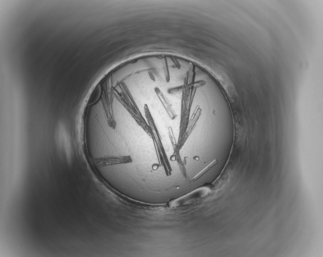 X0000101391527200807211002