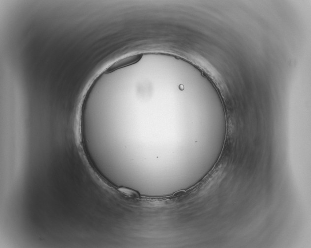 X0000101391528200807211002