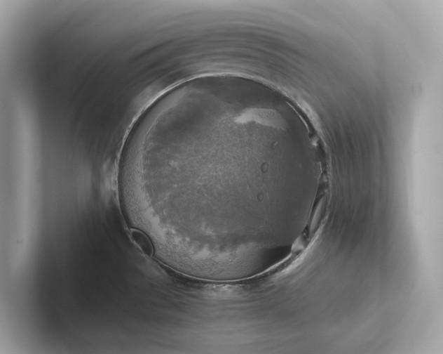 X0000101391529200807211002