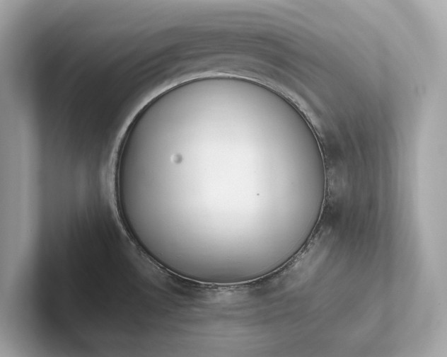 X0000101391530200807211002