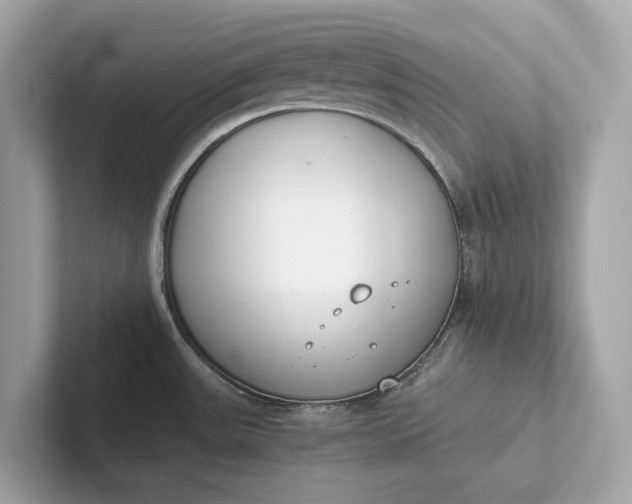 X0000101391531200807211003