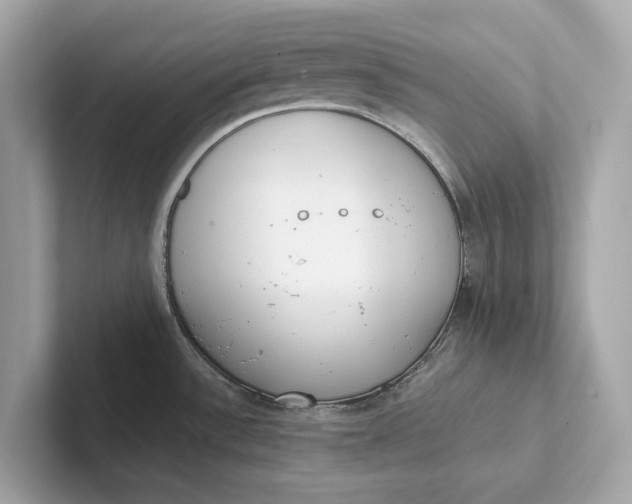 X0000101391532200807211003