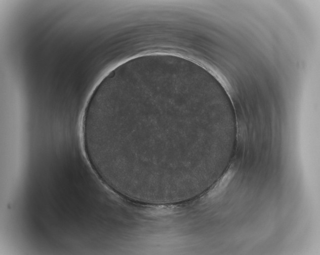 X0000101391533200807211003