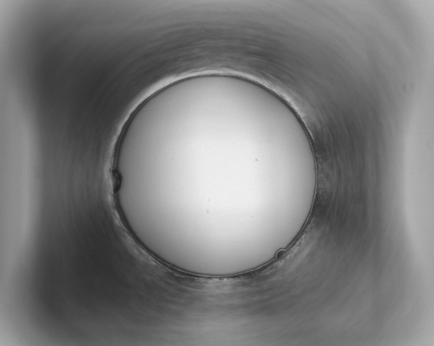 X0000101391534200807211003