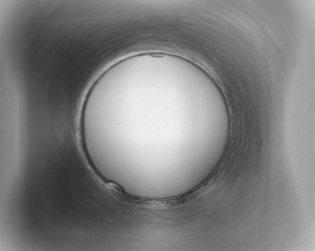 X0000101391536200807211003