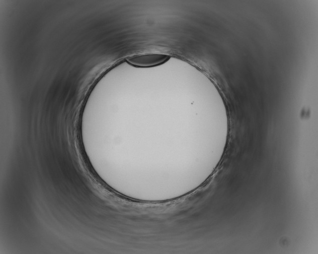 X0000101390001200807280949