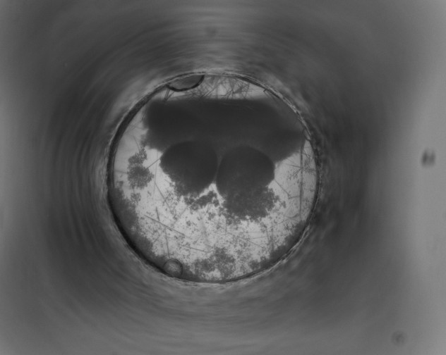 X0000101390002200807280948