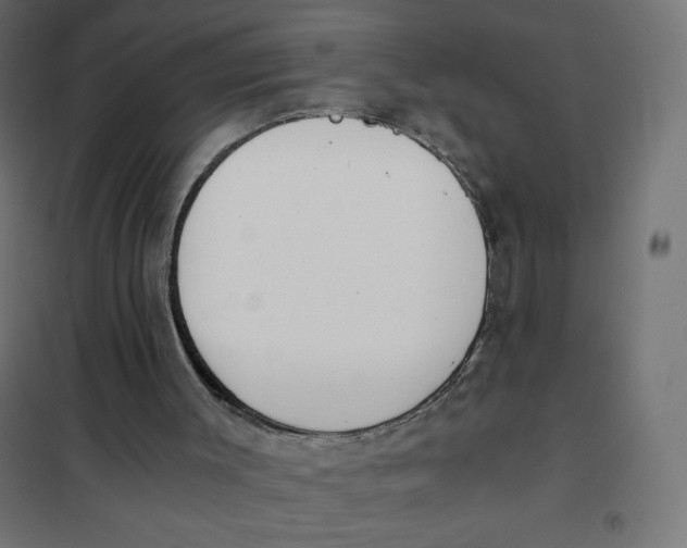 X0000101390003200807280948
